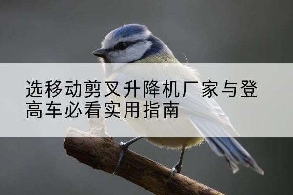 闵行区电动升降机厂家-选移动剪叉升降机厂家与登高车必看实用指南