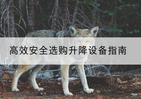 闵行区升降货梯厂家推荐-*安全选购升降设备指南